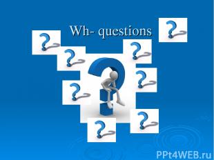 Wh- questions
