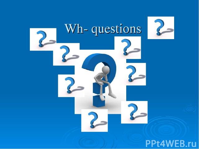 Wh- questions
