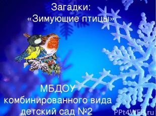 Загадки: «Зимующие птицы» МБДОУ комбинированного вида детский сад №2 логопед: Кн