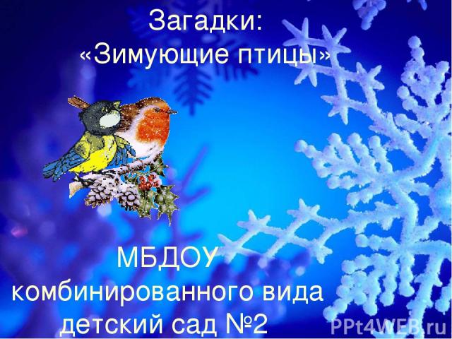 Загадки: «Зимующие птицы» МБДОУ комбинированного вида детский сад №2 логопед: Кнутова Г.А.