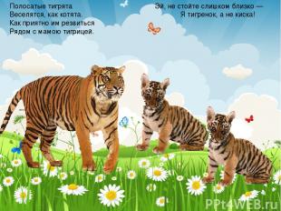 Полосатые тигрята Веселятся, как котята. Как приятно им резвиться Рядом с мамою