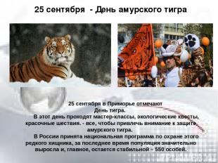 25 сентября в Приморье отмечают День тигра. В этот день проходят мастер-классы,