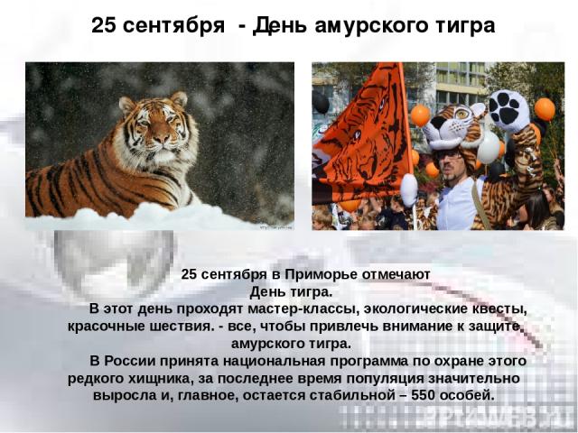 25 сентября в Приморье отмечают День тигра. В этот день проходят мастер-классы, экологические квесты, красочные шествия. - все, чтобы привлечь внимание к защите амурского тигра. В России принята национальная программа по охране этого редкого хищника…