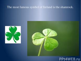 The most famous symbol of Ireland is the shamrock.