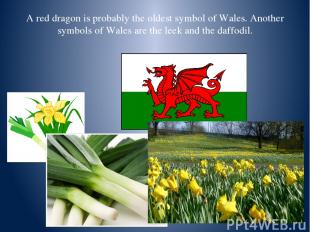 A red dragon is probably the oldest symbol of Wales. Another symbols of Wales ar