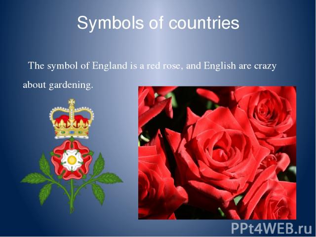 Symbols of countries The symbol of England is a red rose, and English are crazy about gardening.