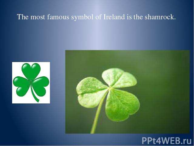 The most famous symbol of Ireland is the shamrock.