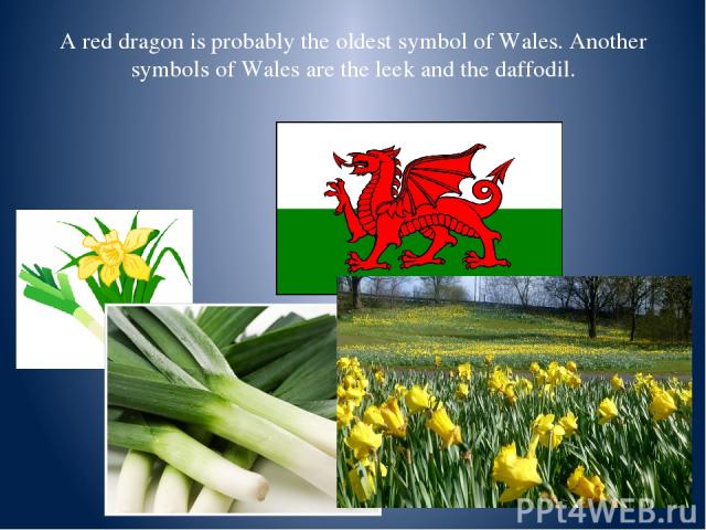 A red dragon is probably the oldest symbol of Wales. Another symbols of Wales are the leek and the daffodil.