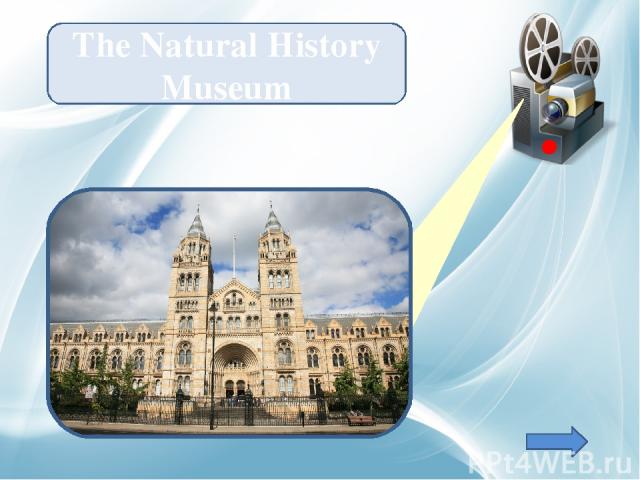 The Natural History Museum