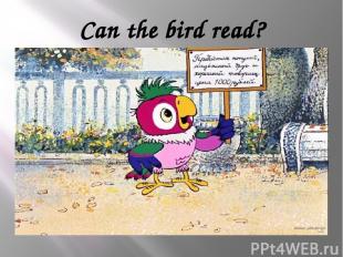 Can the bird read?