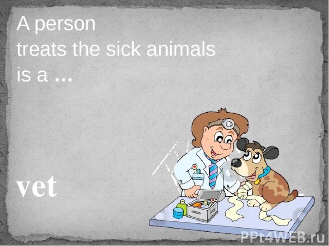 A person treats the sick animals is a … vet