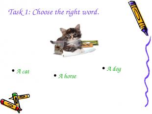 A horse A dog A cat Task 1: Choose the right word.
