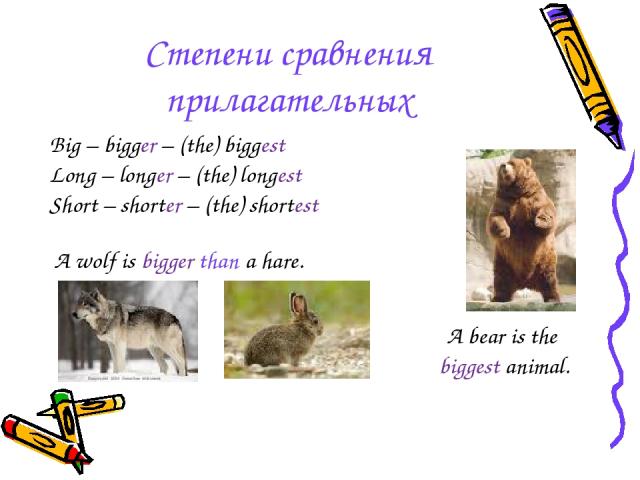 Степени сравнения прилагательных Big – bigger – (the) biggest Long – longer – (the) longest Short – shorter – (the) shortest A wolf is bigger than a hare. A bear is the biggest animal.