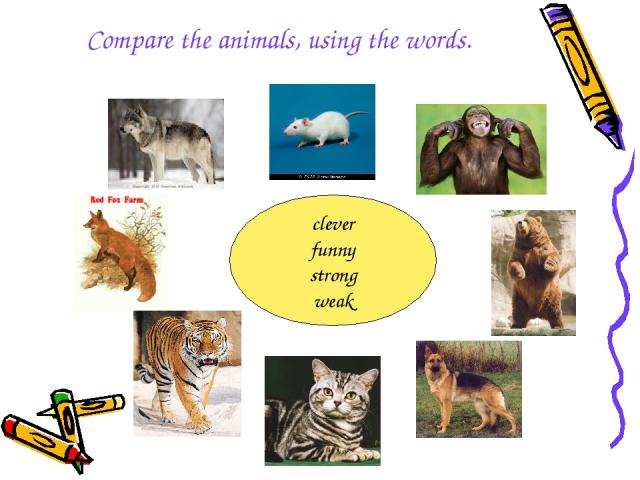 Compare the animals, using the words. clever funny strong weak