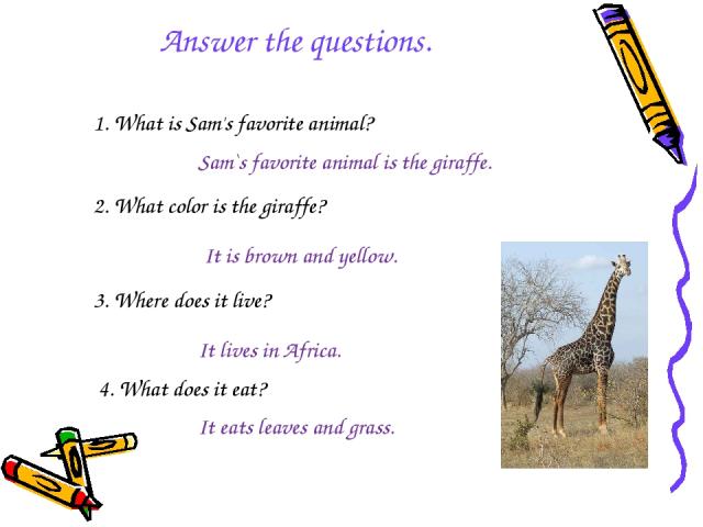 1. What is Sam's favorite animal? Sam`s favorite animal is the giraffe. 2. What color is the giraffe? It is brown and yellow. 3. Where does it live? It lives in Africa. 4. What does it eat? It eats leaves and grass. Answer the questions.