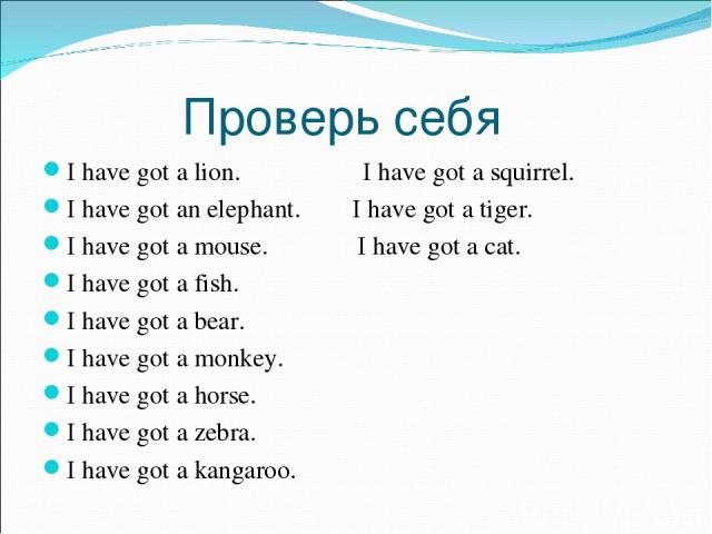 Проверь себя I have got a lion. I have got a squirrel. I have got an elephant. I have got a tiger. I have got a mouse. I have got a cat. I have got a fish. I have got a bear. I have got a monkey. I have got a horse. I have got a zebra. I have got a …