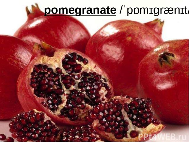pomegranate /ˈpɒmɪɡrænɪt/