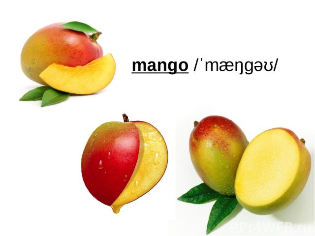mango /ˈmæŋɡəʊ/