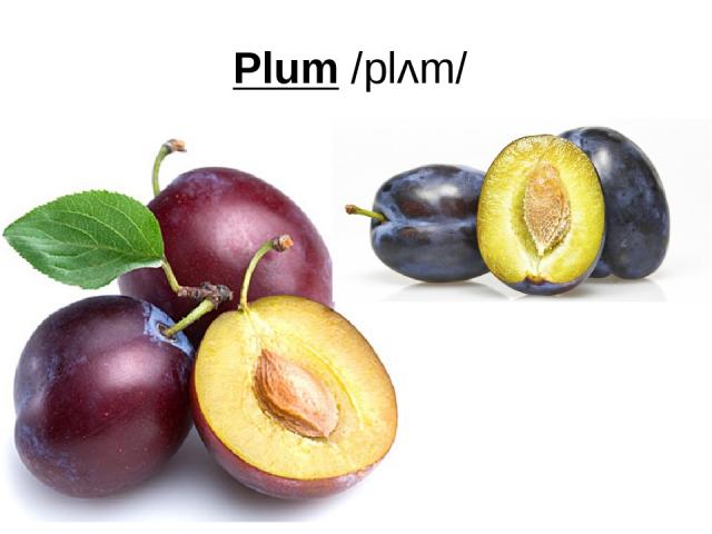 Plum /plʌm/