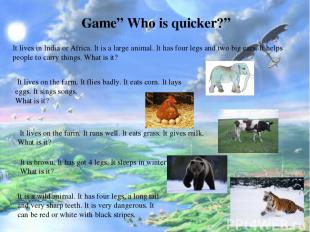 Game” Who is quicker?” It lives in India or Africa. It is a large animal. It has