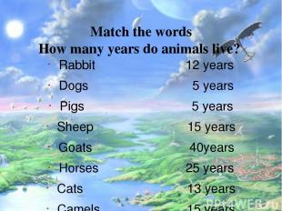 Match the words How many years do animals live? Rabbit 12 years Dogs 5 years Pig