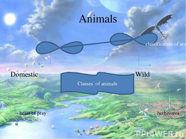Animals Domestic Wild classification of animals Classes of animals beast of pray herbivores