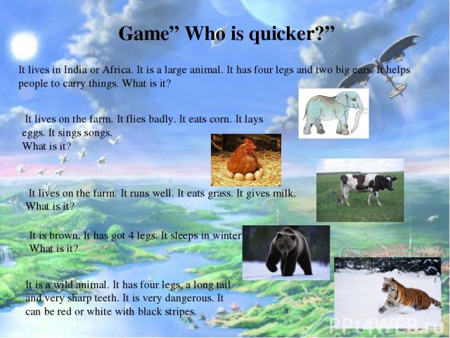 Game” Who is quicker?” It lives in India or Africa. It is a large animal. It has four legs and two big ears. It helps people to carry things. What is it? It lives on the farm. It flies badly. It eats corn. It lays eggs. It sings songs. What is it? I…