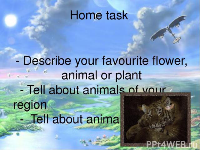 Home task - Describe your favourite flower, animal or plant - Tell about animals of your region - Tell about animals problems