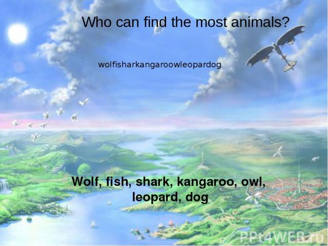 Who can find the most animals? wolfisharkangaroowleopardog Wolf, fish, shark, kangaroo, owl, leopard, dog