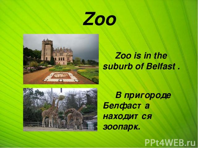 Zoo Zoo is in the suburb of Belfast . В пригороде Белфаста находится зоопарк.