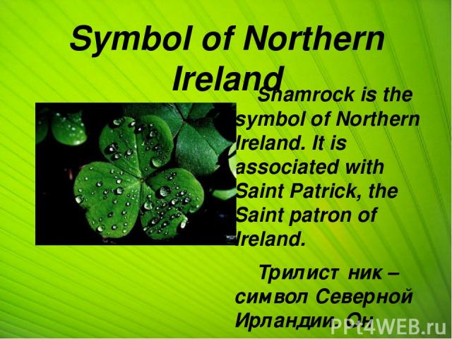 Symbol of Northern Ireland Shamrock is the symbol of Northern Ireland. It is associated with Saint Patrick, the Saint patron of Ireland. Трилистник – символ Северной Ирландии. Он связан со Святым Патриком, святым покровителем Ирландии.