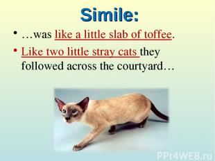 Simile: …was like a little slab of toffee. Like two little stray cats they follo