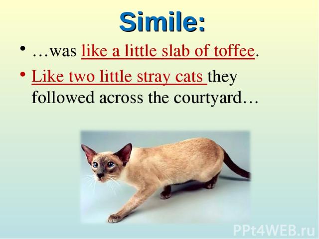 Simile: …was like a little slab of toffee. Like two little stray cats they followed across the courtyard…