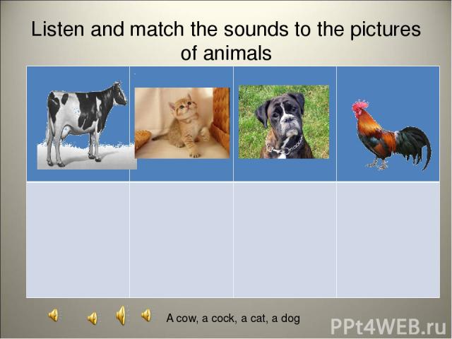 Listen and match the sounds to the pictures of animals A cow, a cock, a cat, a dog