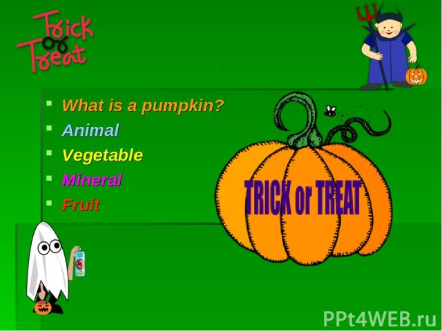 What is a pumpkin? Animal Vegetable Mineral Fruit