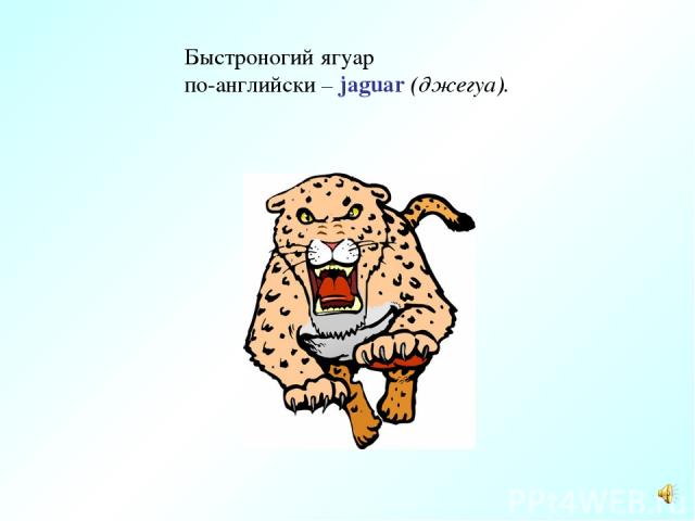 Быстроногий ягуар по-английски – jaguar (джегуа).