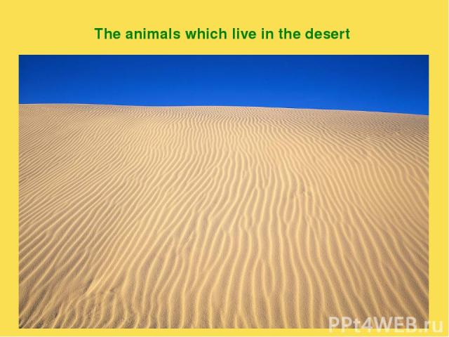The animals which live in the desert
