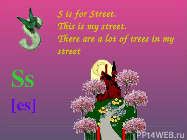 S is for Street. This is my street. There are a lot of trees in my street Ss [es]