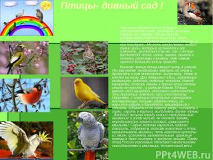 Птицы- дивный сад ! Наши российские певчие птицы с наступлением осени улетают в