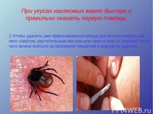 При укусах насекомых важно быстро и правильно оказать первую помощь: 1.Чтобы уда