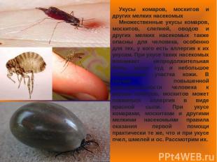 Укусы комаров, москитов и других мелких насекомых Множественные укусы комаров, м