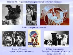 22 июля 1951 года состоялся первый полет "собачьего экипажа" Лайка — первый косм