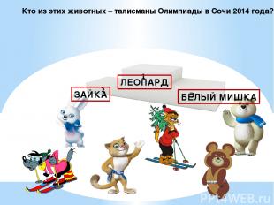 Кто из этих животных – талисманы Олимпиады в Сочи 2014 года? ЗАЙКА ЛЕОПАРД БЕЛЫЙ