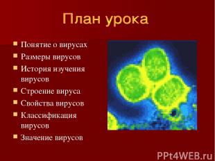 Понятие о вирусах Размеры вирусов История изучения вирусов Строение вируса Свойс