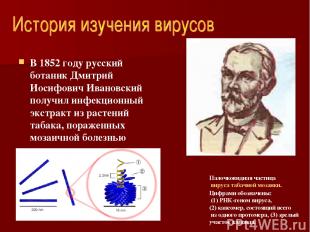 В 1852 году русский ботаник Дмитрий Иосифович Ивановский получил инфекционный эк