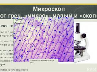 Микроскоп (от греч. «микро»- малый и «скоп»- смотрю). Оптические микроскопы В ос