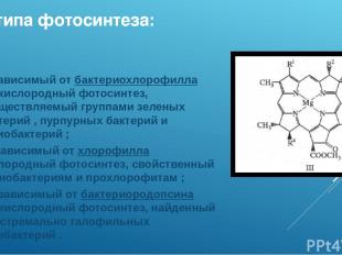 3 типа фотосинтеза: I - зависимый от бактериохлорофилла бескислородный фотосинте