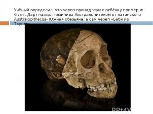 Учёный определил, что череп принадлежал ребёнку примерно 6 лет. Дарт назвал гоми