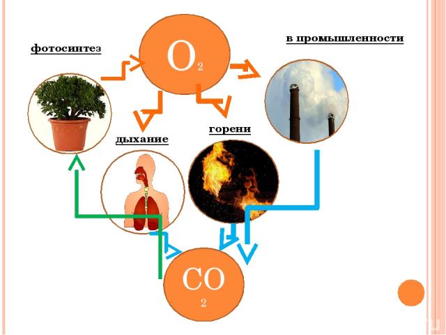 О2 СО2 в промышленности фотосинтез дыхание горение