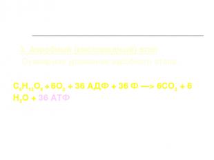 3. Аэробный (кислородный) этап Суммарное уравнение аэробного этапа: С6Н12О6 + 6О